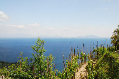 Ischia Wanderweg