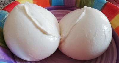 KAMPANIEN MOZZARELLA